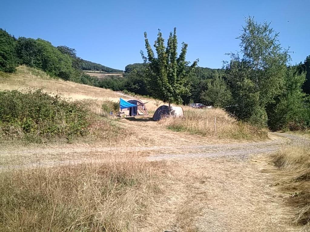 Camping La Forêt du Morvan Larochemillay Extérieur photo
